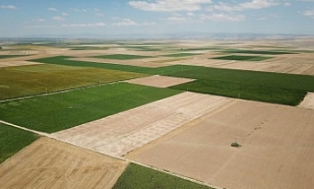 Arazi örtüsü verileri, yapay zeka destekli sistemle tespit edilecek