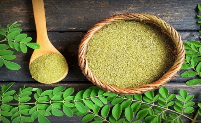 Moringa bitkisinin faydaları nelerdir?