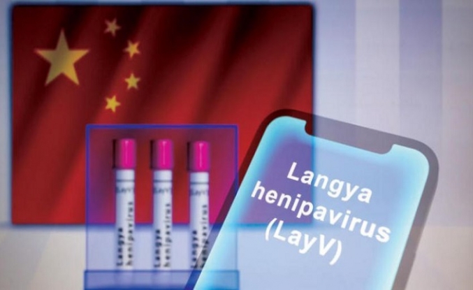 Langya (LayV) virüsü nedir? Belirtileri ne? Çin’de görüldü