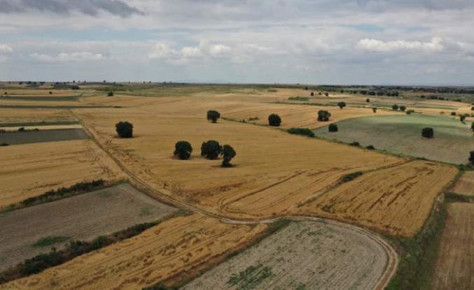 Köylerdeki tarım arazileri için mirasçılık belgesi kararı