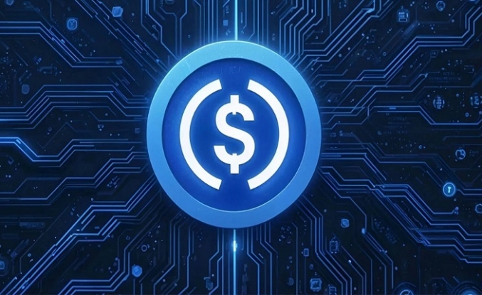 ABD düzenlemesi sonrası sabit kripto ödemelerinde yüzde 70'lik artış