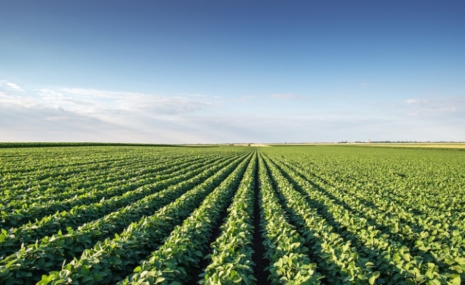 Tarım sezonunun ilk 3 ayında yağışlar yüzde 20 azaldı