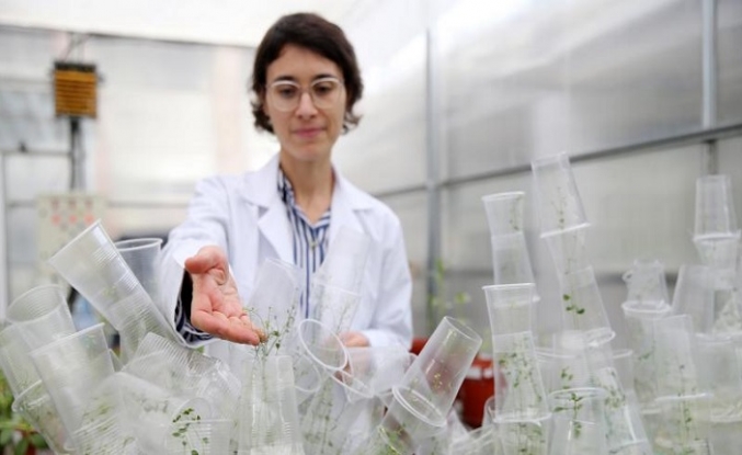 Türk bilim kadını deneyleriyle uzay biyolojisine katkı sunuyor